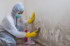 Best Comprehensive Air Testing for Mold Contaminants  in Crandall, TX